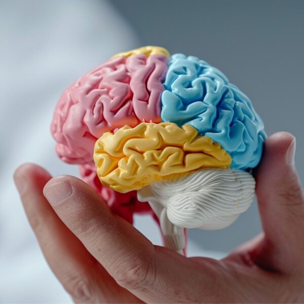 22 de julio: Día Mundial del cerebro